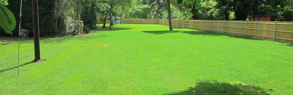 Complete clearance, Berkshire - Taplow Turfing & Landscaping, Thames Vally
