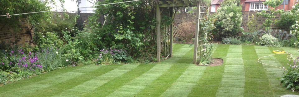 Turfing, Windsor - Taplow Turfing & Landscaping, Thames Vally