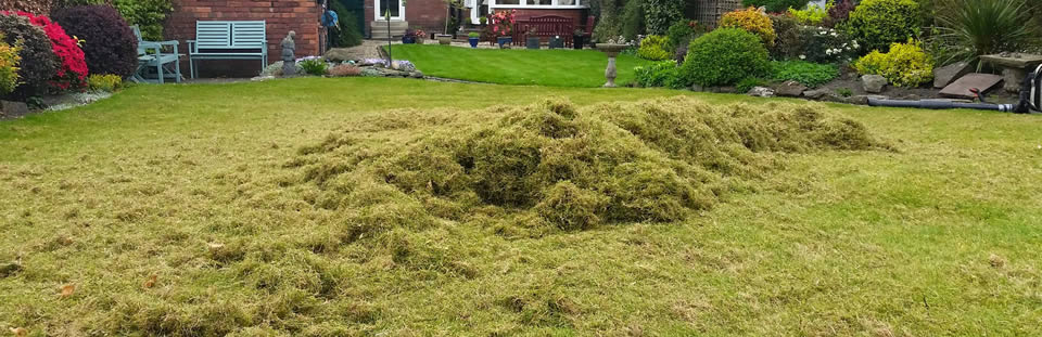 Scarifiying / Lawn Care - Taplow Turfing & Landscaping, Thames Vally