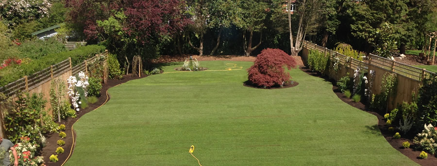 Taplow Turfing & Landscaping, Thames Vally