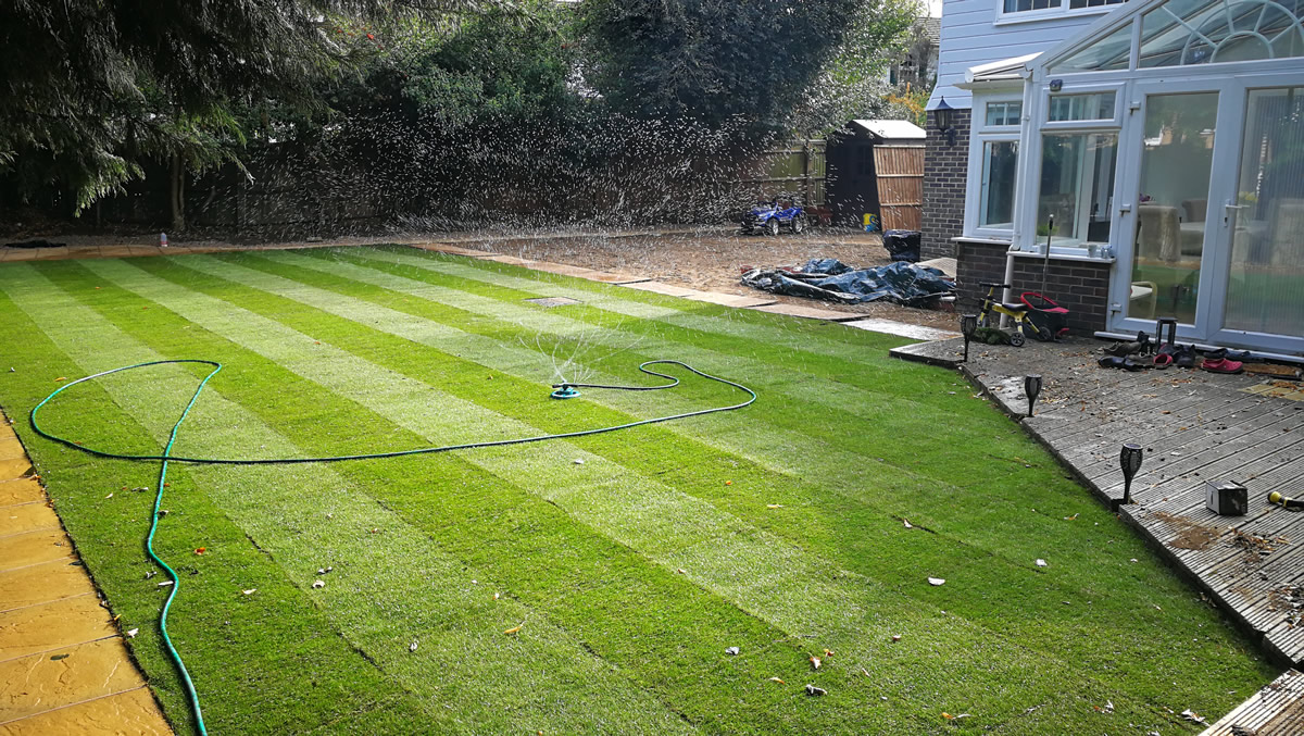 Lawns & Turfing