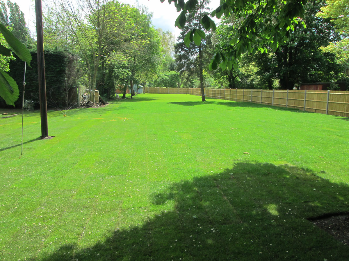 Complete clearance, Berkshire