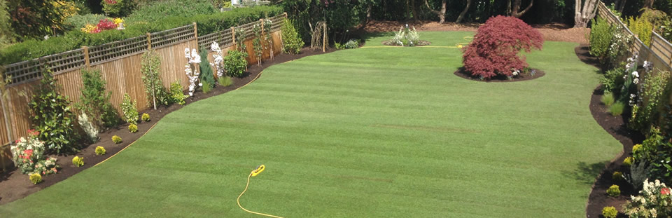 Complete garden clearance, North London - Taplow Turfing & Landscaping, Thames Vally