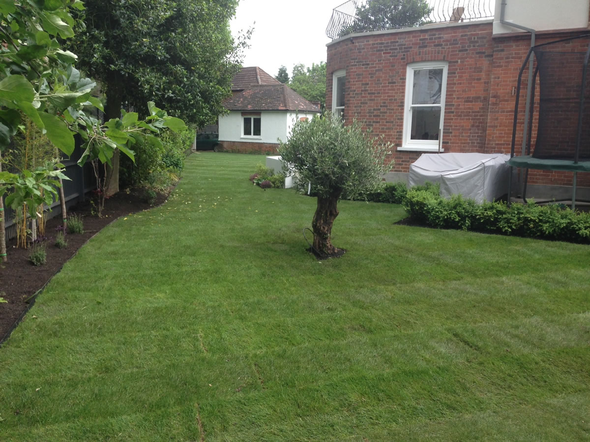 Relandscaping Garden, North London