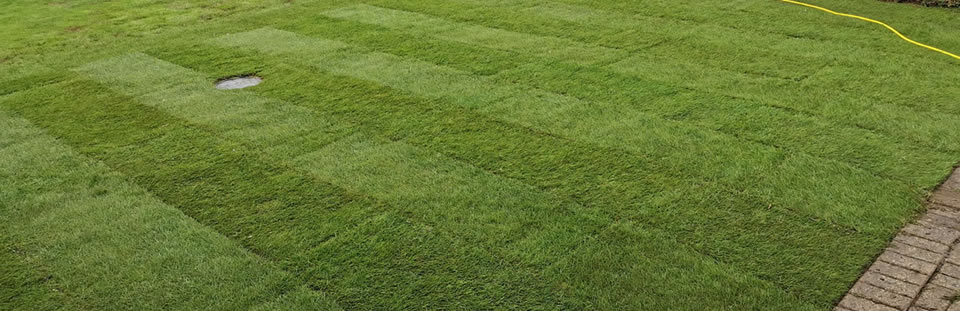 Full Returf front & back gardens, Windsor