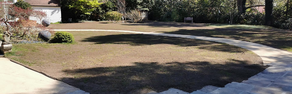 Full Reseed - St Georges, Weybridge - Taplow Turfing & Landscaping, Thames Vally