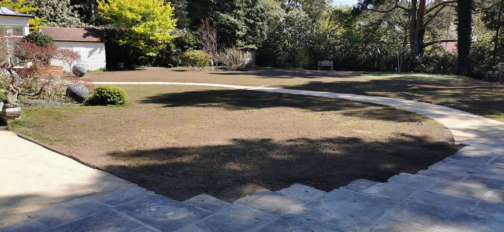 Full Reseed - St Georges, Weybridge