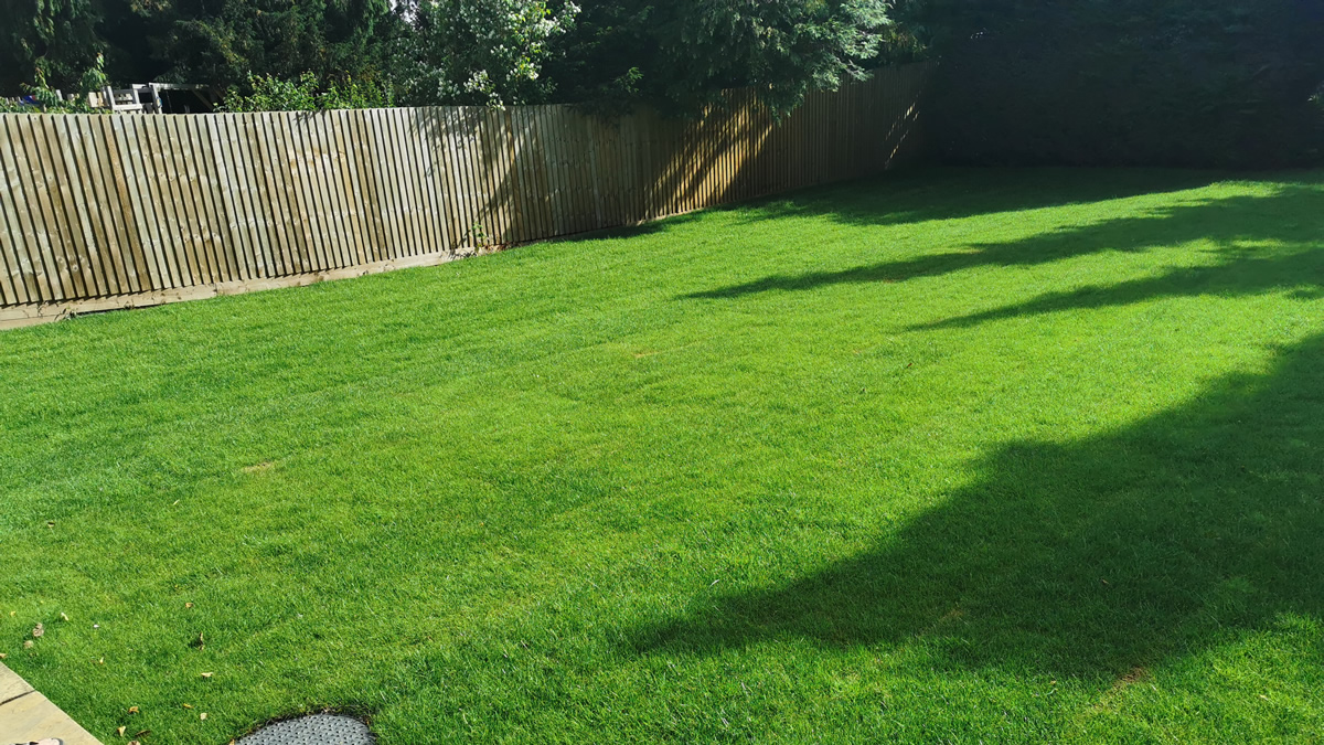 Returfing Back Garden - Beaconsfield