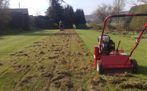 Scarifiying / Lawn Care